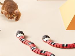 Smart Snake Cat Toys Interactive Automatic Eletronic Teaser USB Charging Accessories for S Dogs Toy 2205108140797