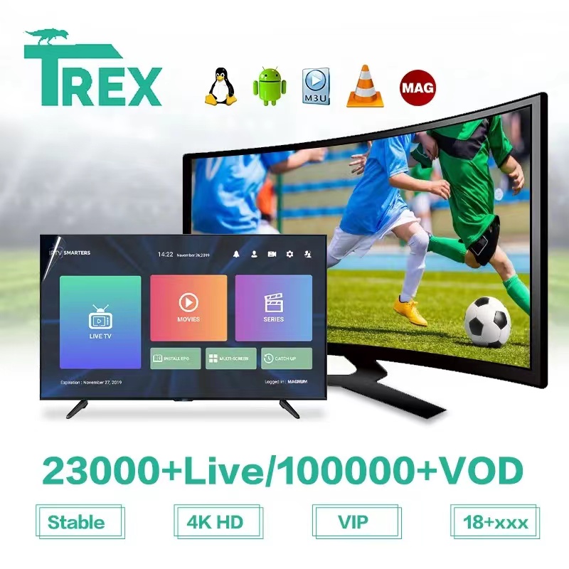 Smart -TV -Teile Europa Welt IP 25000 Live VOD Sport M3U Xtream XXX Mega Ott TV Stick Android Smarters Pro Mag US France Deutschland UK Schweden Kanada Großbritannien Spanien Show