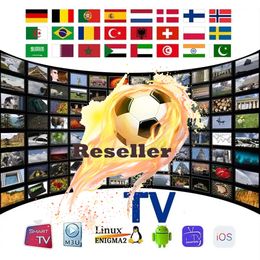 Pièces Smart Tv M3u World TV Xxx Code IP 25000 Live HD 1080P Xtream OTT Android Smarters Pro Mag Europe Arabe France USA Canada Uk Italie Allemagne Espagne test gratuit
