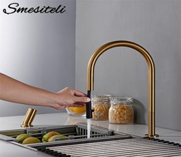 Pmesiteli Nouveau robinet invisible Pulpor-out Papetter Tête Double Hole Single Handle and Cold Solid Lrass Kitchen Sinker Mixer T205185527