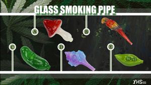 Handcrafted Glass Smoking Pipes - Mushroom, Pea, Parrot, Cucumber & Shell Designs