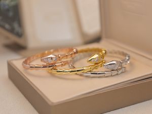 Pulseras de serpiente Brazaletes para parejas y amantes Regalo especial de boda con pulsera de amor serpentina de diamantes chapada en oro de 18 quilates