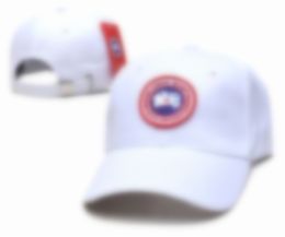 Snapback Ball Caps Merk Bonnet Designer Trucker Hat Caps Mannen Vrouwen Zomer Baseball Cap Borduren Casual Ins Mode Hip Hop Zonnehoeden G-12