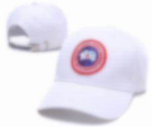 Snapback Ball Caps Merk Bonnet Designer Trucker Hat Caps Mannen Vrouwen Zomer Baseball Cap Borduren Casual Ins Mode Hip Hop Zonnehoeden G-4