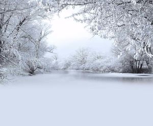 Árboles cubiertos de nieve Río congelado Pografía Telón de fondo Vinilo Invierno Papel pintado escénico Niños Niños Vacaciones Po Shoot Fondo fo8975864