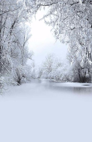 Snow Couvertes Arbres Frozen River Pographie en toile de fond Vinyl Winter Winter Scenic Wallpaper Children Kids Holiday Po Shoot Fond Fo9549178