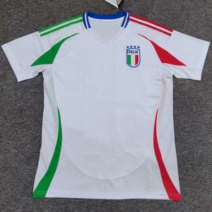 Voetbaljerseys fanversie Italiaanse bekerjersey, voetbal maat 9, piero, 7, Delosi Team
