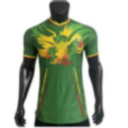 Soccer Jerseys Men's Tracksuits 2324 Mali Green Hawkhead Football Jersey Player Edition Match Printable