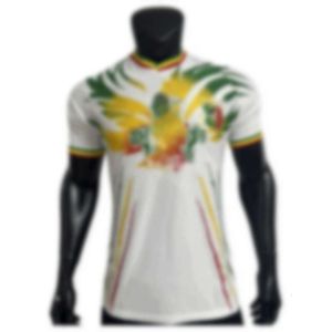 Jerseys de fútbol Síbles para hombres 2324 Mali White Eagle Head Football Jersey Player Version Game imprimible