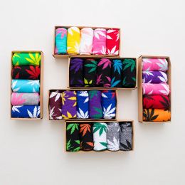 Chaussettes 5 paires 2021 Nouvelle arrivée hommes Maple Leaf chaussettes coton chaussettes drôles Long Crew Casual Gift Box Mens Happy Choches For Male Skateboard