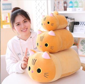 Doux grand oeil chat en peluche animaux quatre couleurs mignon chats taille 25-35-50-80 cm enfants dormir oreiller jouet cadeau d'anniversaire