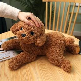 Zachte realistische teddyhond knuffel Grappige simulatie gevulde kleine puppypoppen Mooi verjaardagscadeau voor baby- en kindermeisjes 240123