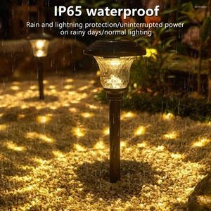 Solar Light Outdoor Garden Stake Kleur Veranderende LED Landschap Pathway Voor Patio Gazon Waterdicht