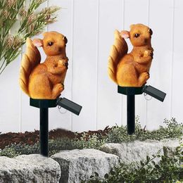 Zonne -lichte eekhoorn buiten tuin