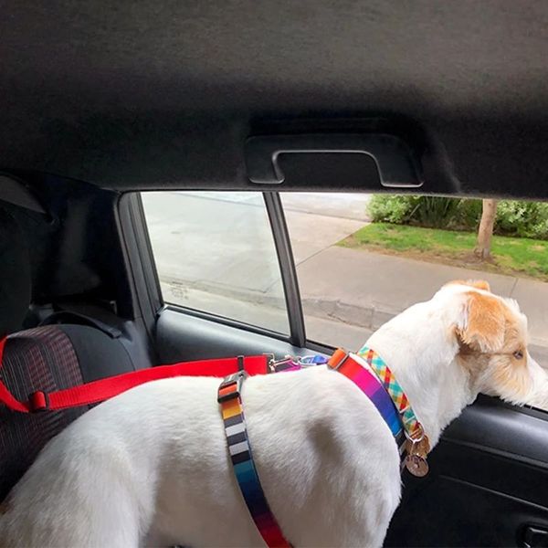 Couleur continue deux en un pour animaux de compagnie ceinture de sécurité en nylon en nylon en laisse arrière-cousetrage ceinture de sécurité ajusté chiens de harnais collier accessoires de compagnie asento de coche para mascotas dos en uno