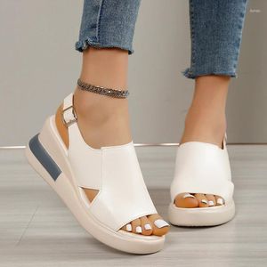 Solid Open Color Sandals 2024 Vrouwen Toe Wedge High Summer Heels Casual Ladies Buckle Strap Fashion Mujer 4943 359