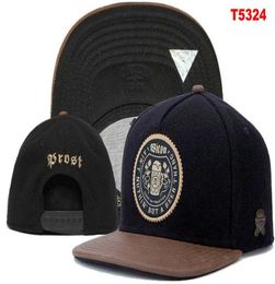 Sons Snapback Caps Chapeaux de baseball Chattes ajustés Snapbacks Brand Nuthin mais une bière Casquette Gorras Men 2701441