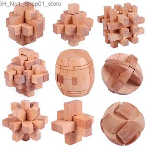 Sorteren Nestelen Stapelen speelgoed 9PCS Kong Minglock Ming Luban Lock Oudere kinderen Chinese Mind Game China Traditionele Teaser Speelgoed Kinderen IQ Grappig Q231218