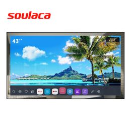 Soulaca 43 inch Webos Mirror Led Television voor badkamer hotel AI ingebouwde Alexa Voice Control WiFi Bluetooth Smart 4K TV Waterdicht 2023 Amazon 2023
