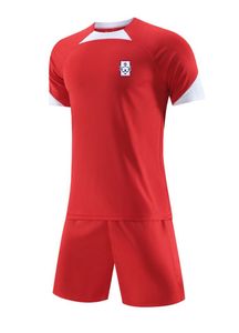 Corea del Sur Niños y ropa deportiva para adultos Tela de malla de verano transpirable Sportswear Sportswear de ocio al aire libre Camisa deportiva
