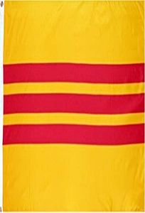 Drapeau du sud du Vietnam 3x5 pieds, drapeaux personnalisés 100D 100 Polyester, utilisation extérieure et intérieure pour Festival suspendu, publicité 1810666
