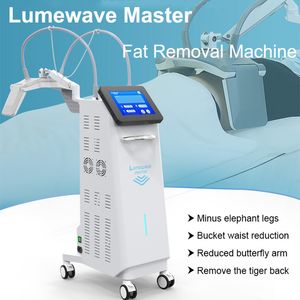 Lipolyse sans espace Lumewave Master, réduction des graisses, combustion des graisses, micro-ondes RF, Machine de mise en forme du corps, SPA Vertical