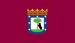 Spanje Vlag Bandera de Madrid hoofdstad 3ft x 5ft Polyester Banner Vliegend 150 90cm Aangepaste vlag buiten7090440