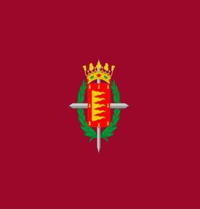 Spanje Vlag Bandera Valladolid 3ft x 5ft Polyester Banner Vliegend 150 90cm Aangepaste vlag buiten7549446