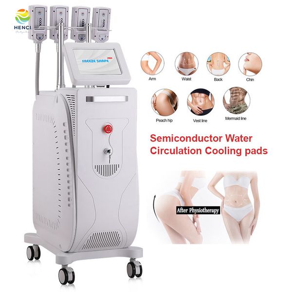 Pièces de rechange de cryolipolyse électrique Ems Rf, Machine de Massage du visage, Instrument de beauté Ems Rf