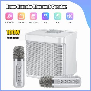 Haut-parleurs 100W Peak Wireless Bluetooth Karaoke Machine Family KTV Set avec 2 micros équipes audio de fête en plein air KD203 haut-parleurs portables