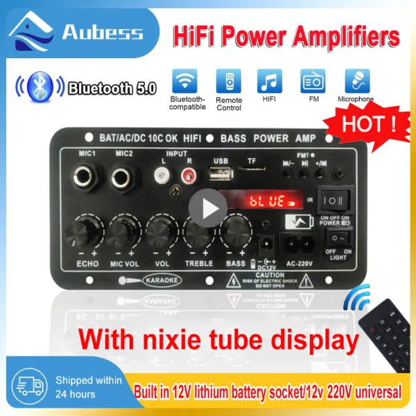 Haut-parleurs 12V numérique Bluetooth amplificateur Audio carte 30120W Support récepteur et Radio FM double Microphone karaoké haut-parleur Amplificatore