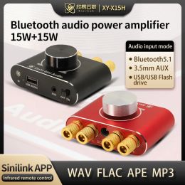 Luidsprekers 15W + 15W Mini Bluetooth 5.1 Luidspreker Digitale Audio Eindversterker Klasse D 10W ~ 200W HiFi Stereo UDisk Muziek App AMP