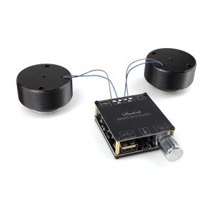 Altavoces 2*25W Audio Resonancia portátil Vibration Altavoz Bluetooth Compatible DIY CLASE D AMPLIFICADOR DE PODER SUBWOOFER HIFI Sistema