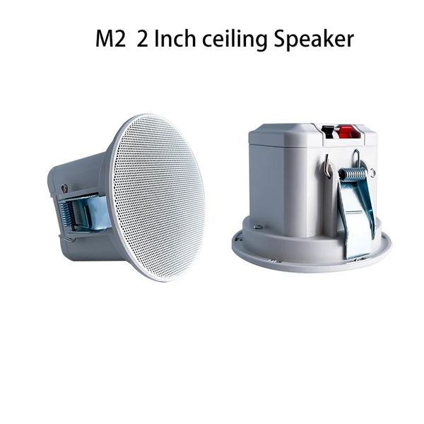 Haut-parleurs 2 pouces Surround système de son haut-parleurs 8Ohm toit pour la maison musique de fond Audio haut-parleur de plafond
