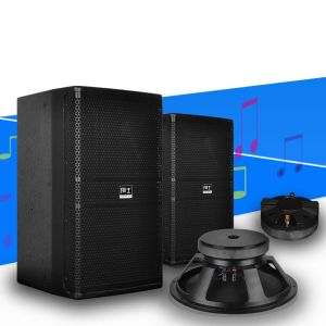 Altavoces Altavoz de 300W y 10 pulgadas, altavoz de alta potencia para ingeniería de escenario de 8 ohmios, barra profesional de Audio para exteriores, altavoz de pie de rango completo