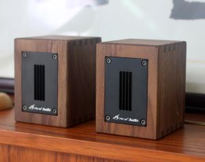 Sprekers 30W 6OHM Gloednieuwe boekenplank Spreker Walnut Fever Independent Ribbon Super Tweeter External Tweeter Speaker Sound Box