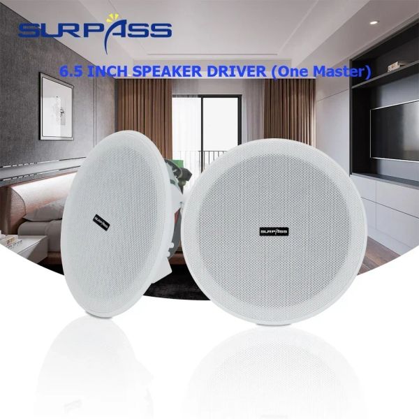 Altavoces 6.5 pulgadas 15 W Techo Bluetooth Altavoz Builtin Clase D Amplificador FullRange Altavoces en casa empotrados Altavoces de audio para casa