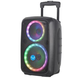 Haut-parleurs 8 pouces + 6 pouces Partybox Lampe à flamme Audio Haute puissance Haut-parleur Bluetooth extérieur Karaoké Colonne sans fil portable avec microphone FM