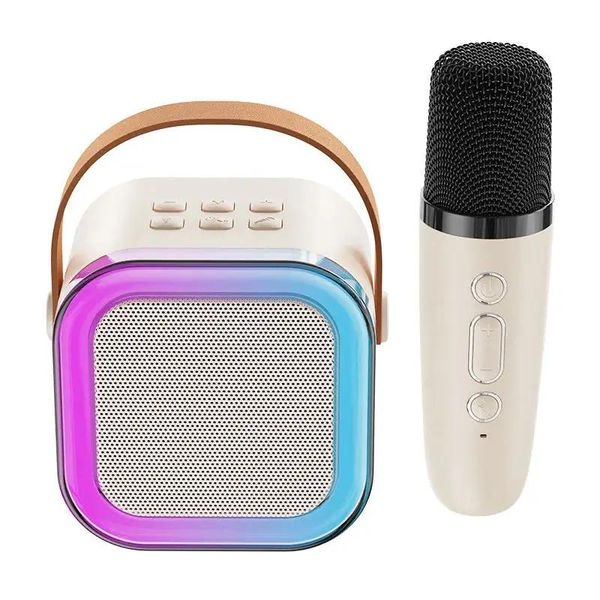 Haut-parleurs Double microphone Karaoke Machine Subwoofer Système de haut-parleur Bluetooth PA portable avec 2 micro-wiles sans fil Famille de chante