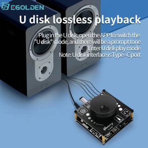 Luidsprekers EGOLDEN YSAP50L 5.1 Bluetooth 2*50 W digitale versterker boord HIFI highpower speaker DIY audio conversie module