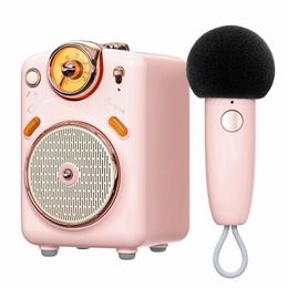 Luidsprekers voor FairyOK Draagbare Bluetooth-compatibele 5.0-luidspreker met microfoon Karaokefunctie met stemverandering FM-radio TF-kaart