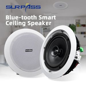 Luidsprekers Home Audio WiFi Plafondluidspreker Bluetoothcompatibel PA-systeem 30w Stereogeluid Subwoofer Coxial 2-weg luidspreker met JR45