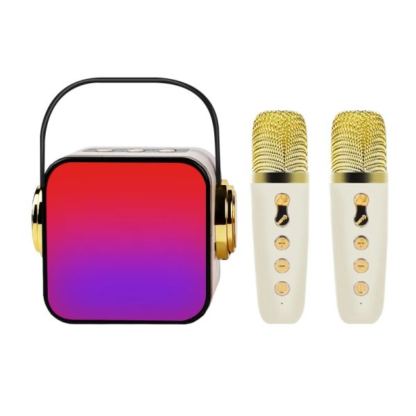 Haut-parleurs Machine de karaoké pour enfants adultes avec mini microphone haut-parleur Bluetooth portable avec micro sans fil pour fête d'anniversaire à la maison