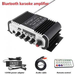 Luidsprekers Kentiger HYV11 Met 12V5A Power En Av-kabel Bluetooth Versterker USB TF FM AUX dac 6.5mm Mic Karaoke Speaker Amplificador