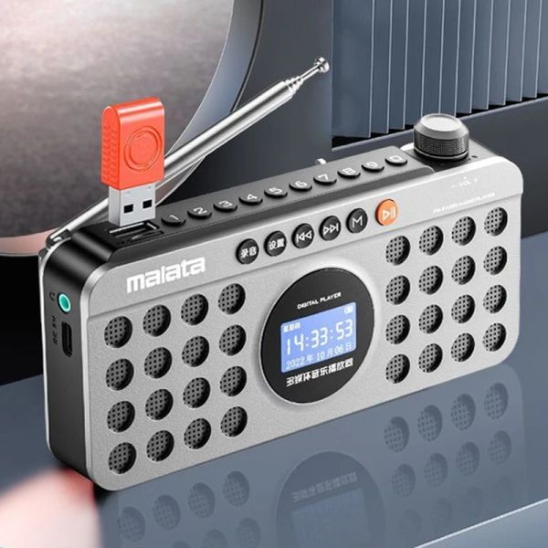 Altavoces Radio FM Portable Radio 70108MHz RECEPTOR DE RADIO MINI BLUETOOTH RECORDOR DEL ALTAVIENTE CON PANTALLA DE LED Batería recargable TF Play