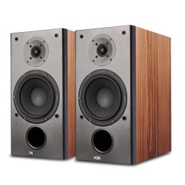 Haut-parleurs portables SERS 200W P4 Bibords étagères Monitor en bois Twoway Fièvre passive Hifi Home Theatre System Music Sound Front Ser 65 Inch 8Ω 2309