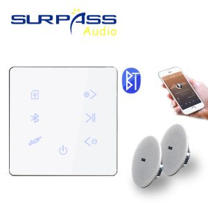 Haut-parleurs Smart Home Audio Bluetooth Amplificateur Touch Key Hotel Theatre Background Music System System Amp 10W En haut-parleur de plafond sans cadre