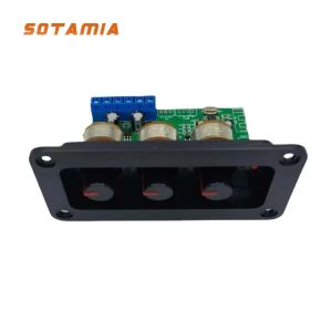 Luidsprekers SOTAMIA Bluetooth 5.0 Versterker Audio Board 2x20W Home Theater Hifi Stereo Eindversterker Board DIY Sound speaker Amplificador