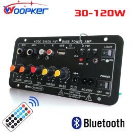 Carte d'amplificateur Audio Bluetooth Woopker 120W caisson de basses double Module d'ampli de Microphone pour haut-parleur 4 ohms 812 pouces 12/24V 110/220V