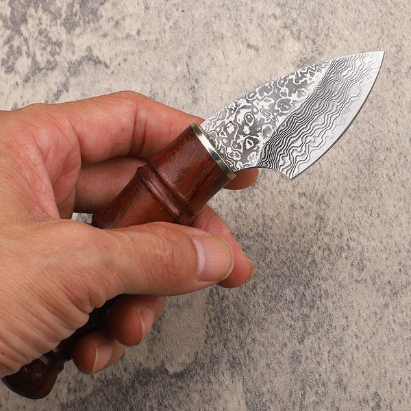 Oferta especial A2252 Cuchillo de hoja fija de Damasco VG10 Hoja de acero de Damasco Mango de palisandro Pesca al aire libre Camping EDC Navajas de bolsillo con funda de cuero